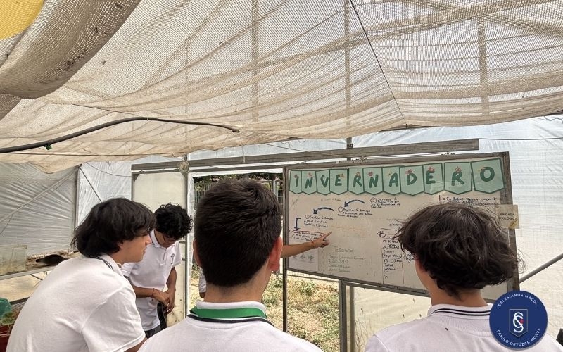 Brigada Ecológica invita a nuevos integrantes en el Día del Medioambiente
